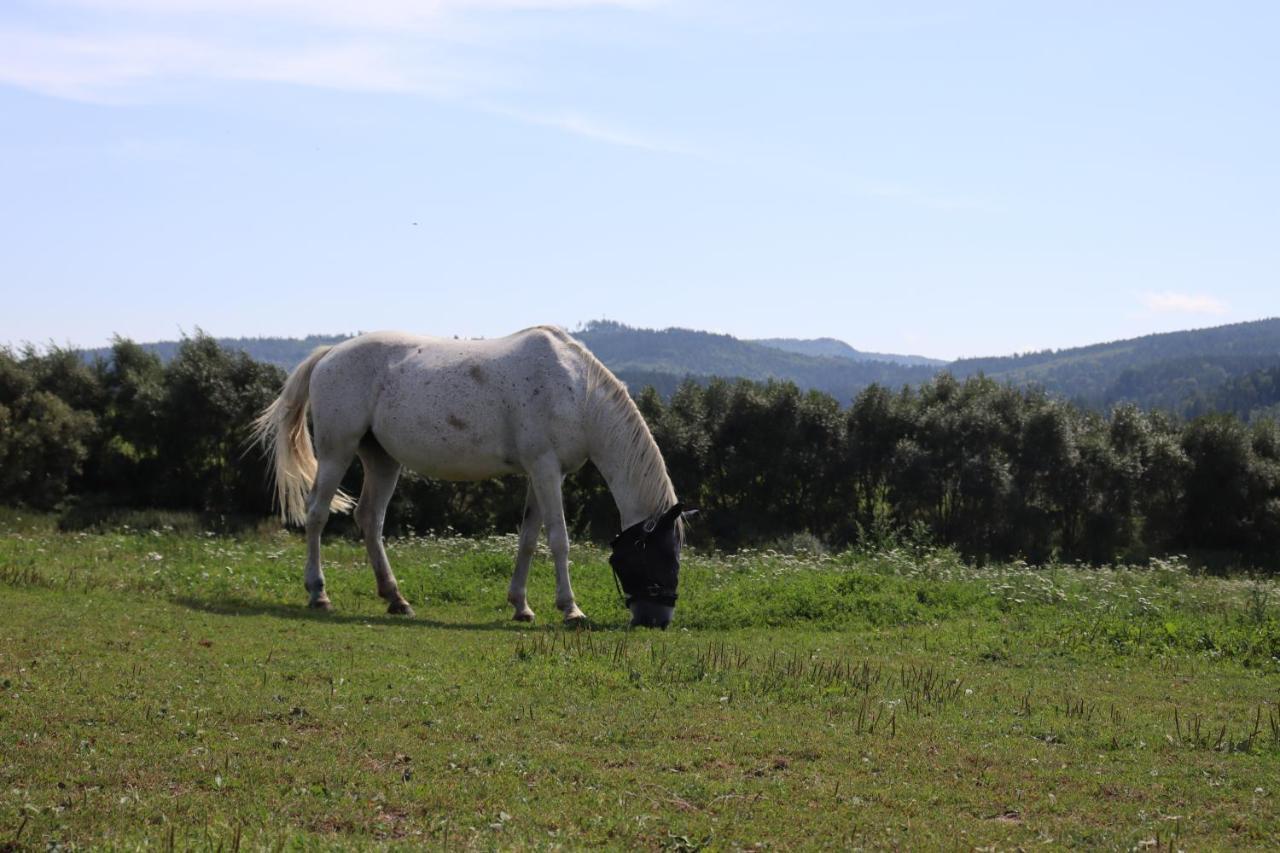 Agro Zula Daire Hrabušice Dış mekan fotoğraf