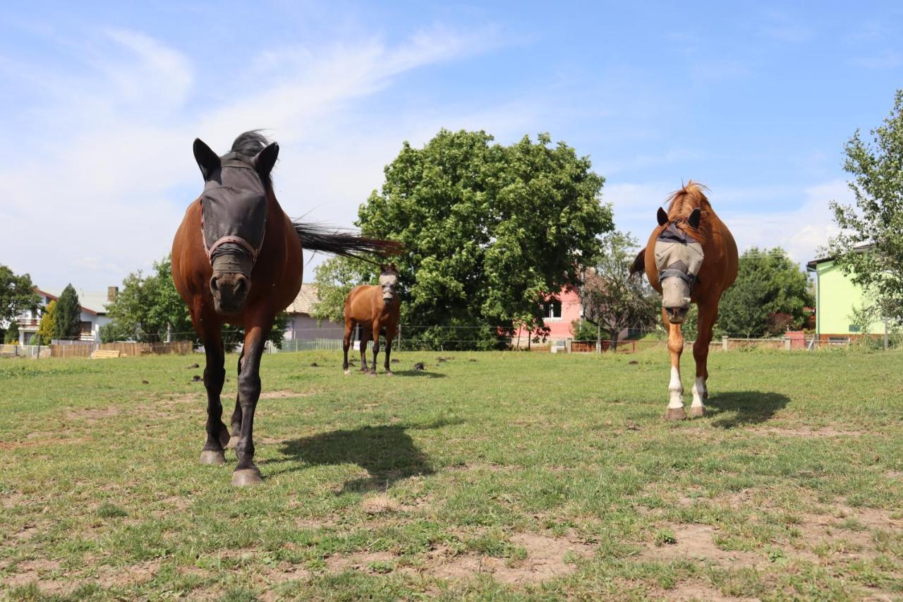 Agro Zula Daire Hrabušice Dış mekan fotoğraf